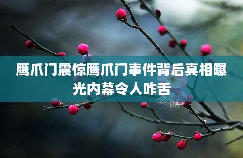 鹰爪门震惊鹰爪门事件背后真相曝光内幕令人咋舌