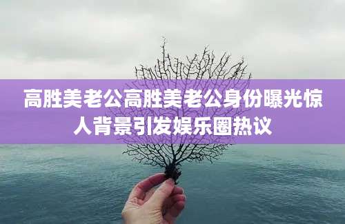 高胜美老公高胜美老公身份曝光惊人背景引发娱乐圈热议
