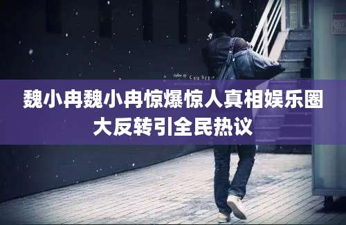 魏小冉魏小冉惊爆惊人真相娱乐圈大反转引全民热议