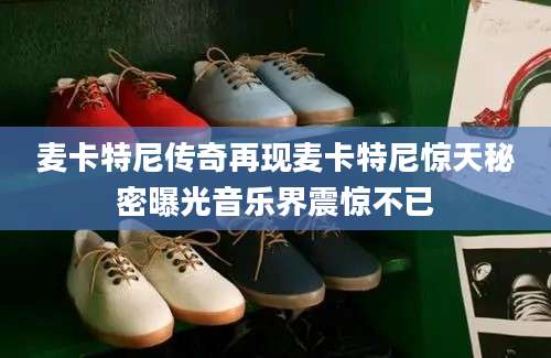 麦卡特尼传奇再现麦卡特尼惊天秘密曝光音乐界震惊不已