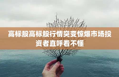 高标股高标股行情突变惊爆市场投资者直呼看不懂