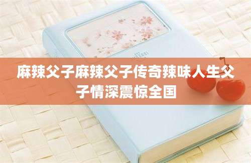 麻辣父子麻辣父子传奇辣味人生父子情深震惊全国