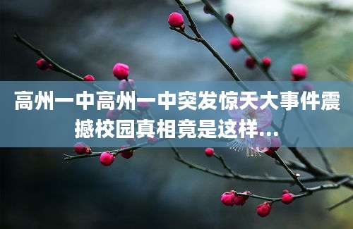 高州一中高州一中突发惊天大事件震撼校园真相竟是这样...