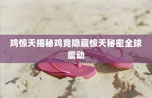 鸡惊天揭秘鸡竟隐藏惊天秘密全球震动