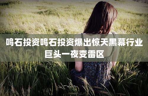 鸣石投资鸣石投资爆出惊天黑幕行业巨头一夜变雷区
