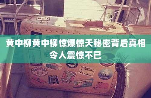 黄中柳黄中柳惊爆惊天秘密背后真相令人震惊不已