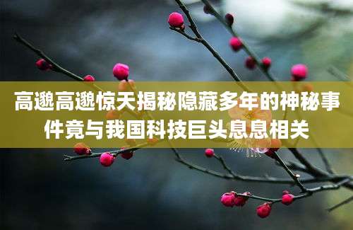 高邈高邈惊天揭秘隐藏多年的神秘事件竟与我国科技巨头息息相关