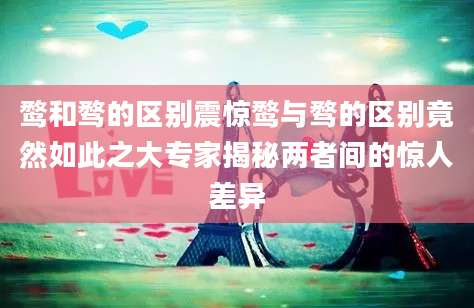 鹜和骛的区别震惊鹜与骛的区别竟然如此之大专家揭秘两者间的惊人差异