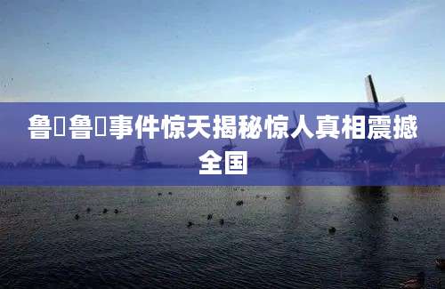 鲁垚鲁垚事件惊天揭秘惊人真相震撼全国
