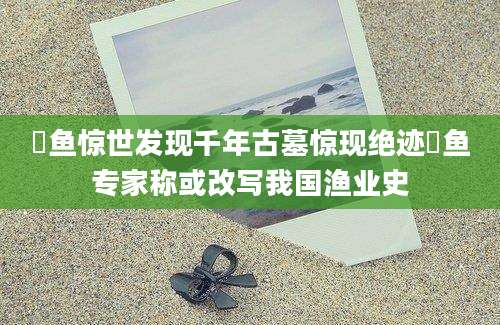 鮆鱼惊世发现千年古墓惊现绝迹鮆鱼专家称或改写我国渔业史