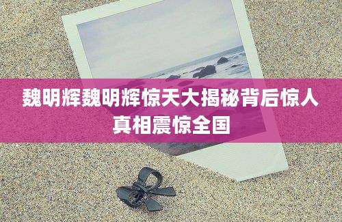 魏明辉魏明辉惊天大揭秘背后惊人真相震惊全国
