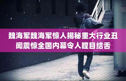 魏海军魏海军惊人揭秘重大行业丑闻震惊全国内幕令人瞠目结舌