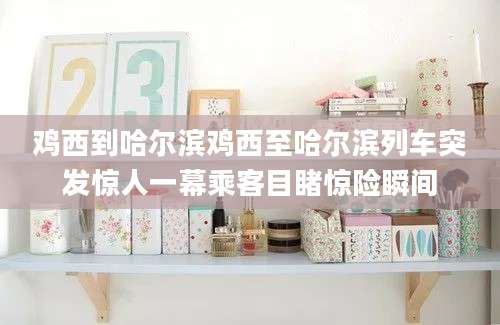 鸡西到哈尔滨鸡西至哈尔滨列车突发惊人一幕乘客目睹惊险瞬间