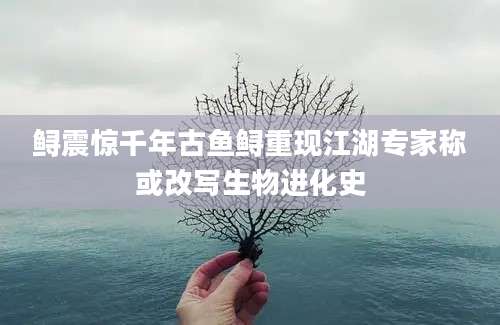 鲟震惊千年古鱼鲟重现江湖专家称或改写生物进化史