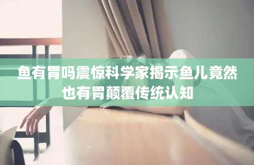 鱼有胃吗震惊科学家揭示鱼儿竟然也有胃颠覆传统认知