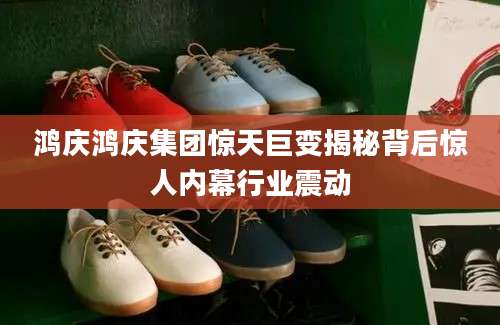 鸿庆鸿庆集团惊天巨变揭秘背后惊人内幕行业震动