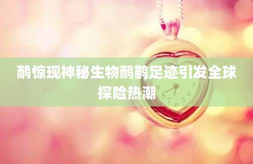 鸸惊现神秘生物鸸鹋足迹引发全球探险热潮