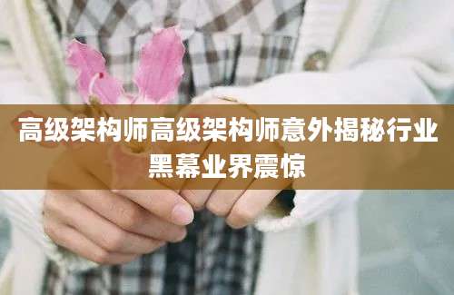 高级架构师高级架构师意外揭秘行业黑幕业界震惊