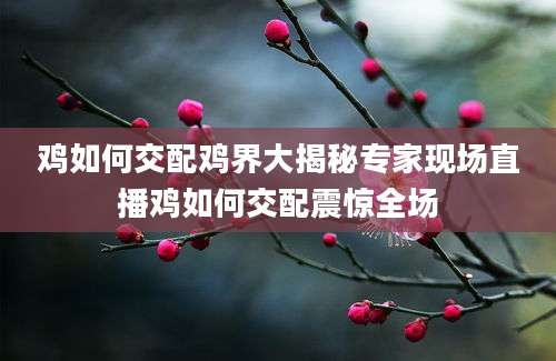 鸡如何交配鸡界大揭秘专家现场直播鸡如何交配震惊全场