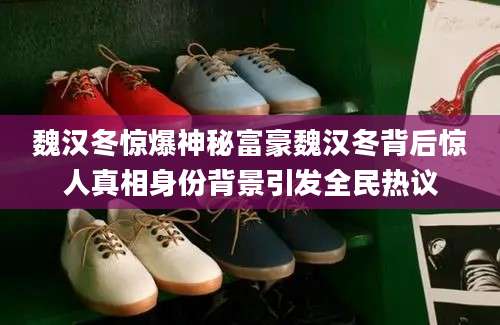 魏汉冬惊爆神秘富豪魏汉冬背后惊人真相身份背景引发全民热议