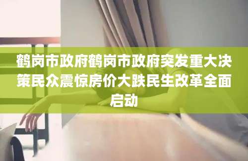 鹤岗市政府鹤岗市政府突发重大决策民众震惊房价大跌民生改革全面启动