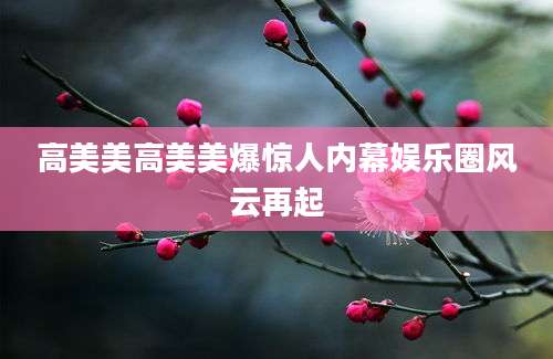 高美美高美美爆惊人内幕娱乐圈风云再起