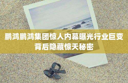 鹏鸿鹏鸿集团惊人内幕曝光行业巨变背后隐藏惊天秘密