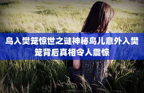 鸟入樊笼惊世之谜神秘鸟儿意外入樊笼背后真相令人震惊