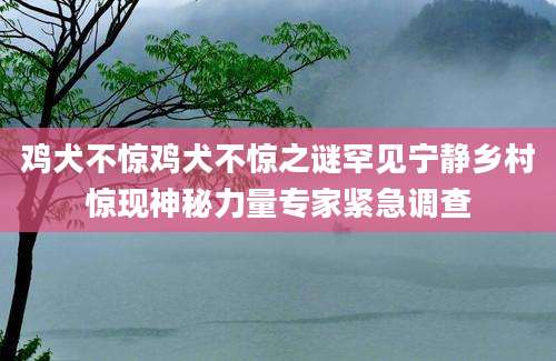 鸡犬不惊鸡犬不惊之谜罕见宁静乡村惊现神秘力量专家紧急调查