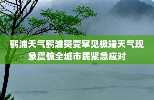 鹤浦天气鹤浦突变罕见极端天气现象震惊全城市民紧急应对
