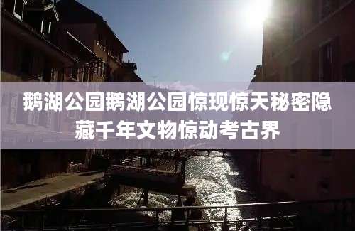 鹅湖公园鹅湖公园惊现惊天秘密隐藏千年文物惊动考古界