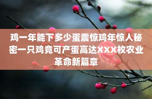 鸡一年能下多少蛋震惊鸡年惊人秘密一只鸡竟可产蛋高达XXX枚农业革命新篇章