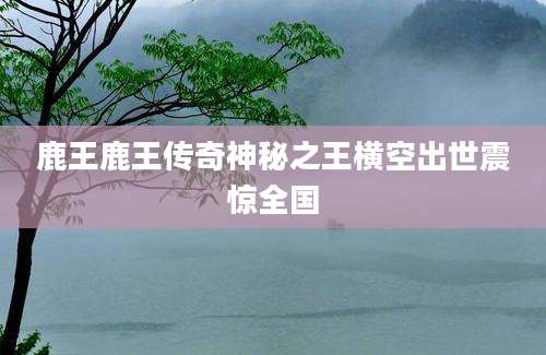鹿王鹿王传奇神秘之王横空出世震惊全国