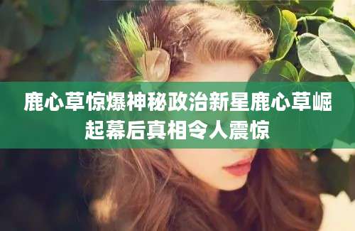 鹿心草惊爆神秘政治新星鹿心草崛起幕后真相令人震惊
