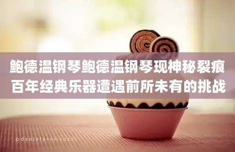 鲍德温钢琴鲍德温钢琴现神秘裂痕百年经典乐器遭遇前所未有的挑战