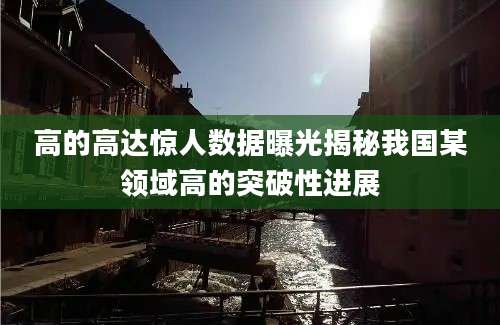 高的高达惊人数据曝光揭秘我国某领域高的突破性进展