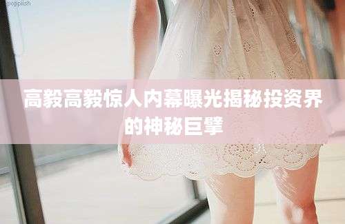 高毅高毅惊人内幕曝光揭秘投资界的神秘巨擘