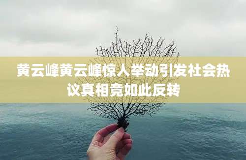 黄云峰黄云峰惊人举动引发社会热议真相竟如此反转