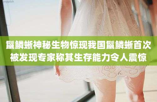 鬣鳞蜥神秘生物惊现我国鬣鳞蜥首次被发现专家称其生存能力令人震惊
