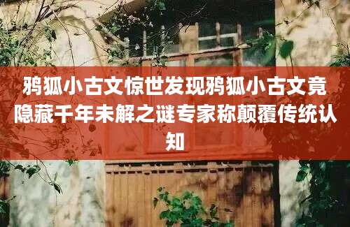鸦狐小古文惊世发现鸦狐小古文竟隐藏千年未解之谜专家称颠覆传统认知