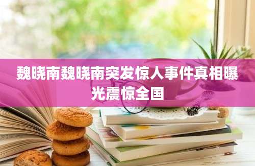 魏晓南魏晓南突发惊人事件真相曝光震惊全国
