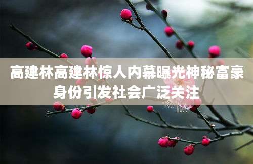 高建林高建林惊人内幕曝光神秘富豪身份引发社会广泛关注