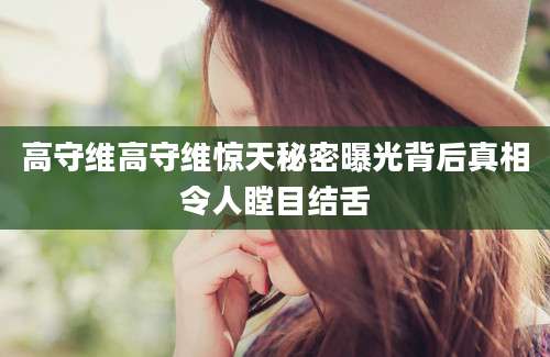 高守维高守维惊天秘密曝光背后真相令人瞠目结舌