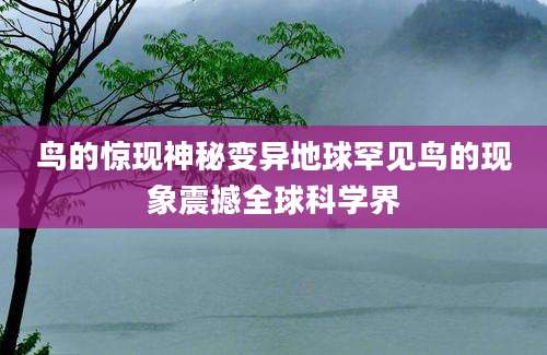 鸟的惊现神秘变异地球罕见鸟的现象震撼全球科学界