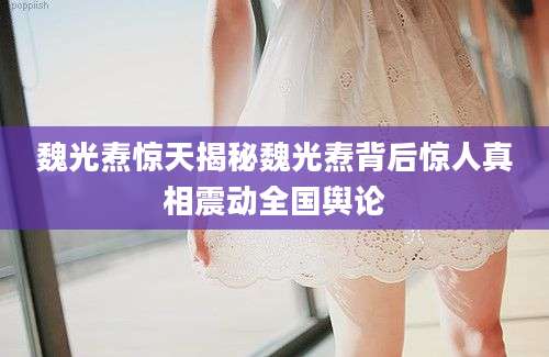 魏光焘惊天揭秘魏光焘背后惊人真相震动全国舆论