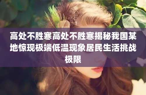 高处不胜寒高处不胜寒揭秘我国某地惊现极端低温现象居民生活挑战极限