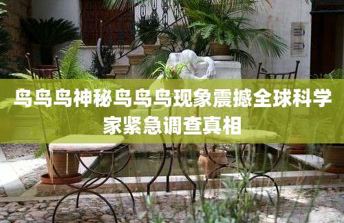 鸟鸟鸟神秘鸟鸟鸟现象震撼全球科学家紧急调查真相