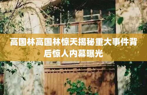 高国林高国林惊天揭秘重大事件背后惊人内幕曝光