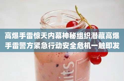 高爆手雷惊天内幕神秘组织潜藏高爆手雷警方紧急行动安全危机一触即发