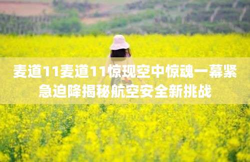 麦道11麦道11惊现空中惊魂一幕紧急迫降揭秘航空安全新挑战